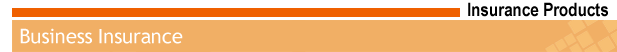Business Insurance